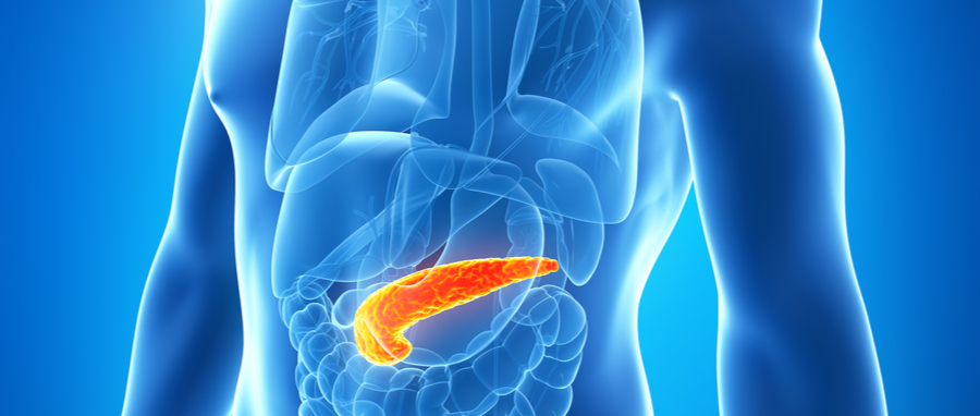 Alcohol Affects The Pancreas: Know The Signs And Symptoms