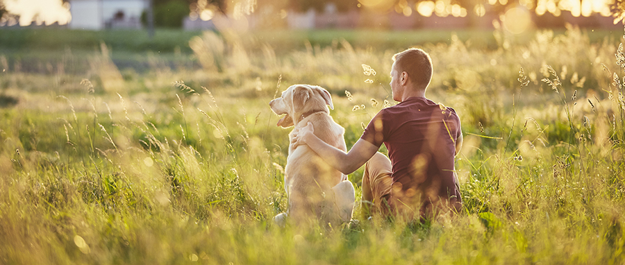 The Value of Pets in Addiction Recovery